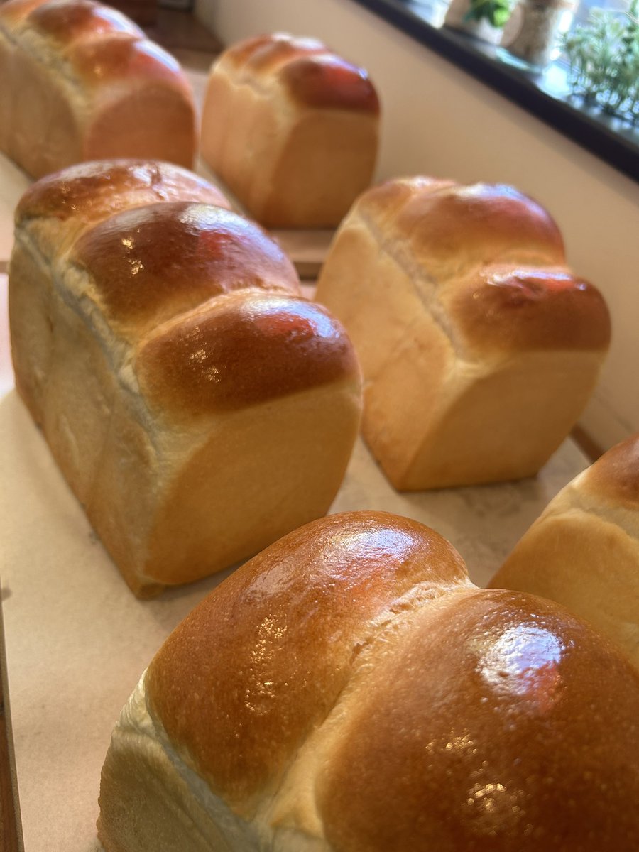 BPmommyCEO's tweet image. おはようございます☀️

お寝坊しました！
いつみさんが 〇んだかとおもた…
って、めちゃ心配してました😇
LINEの着信音消えてたから…

はい、ちゃんと設定し直します🥹

パン🍞は大丈夫です！
もくもくと作業しております😊💦

では、今週も1週間
元気によろしくお願いいたします😄🙌🥐