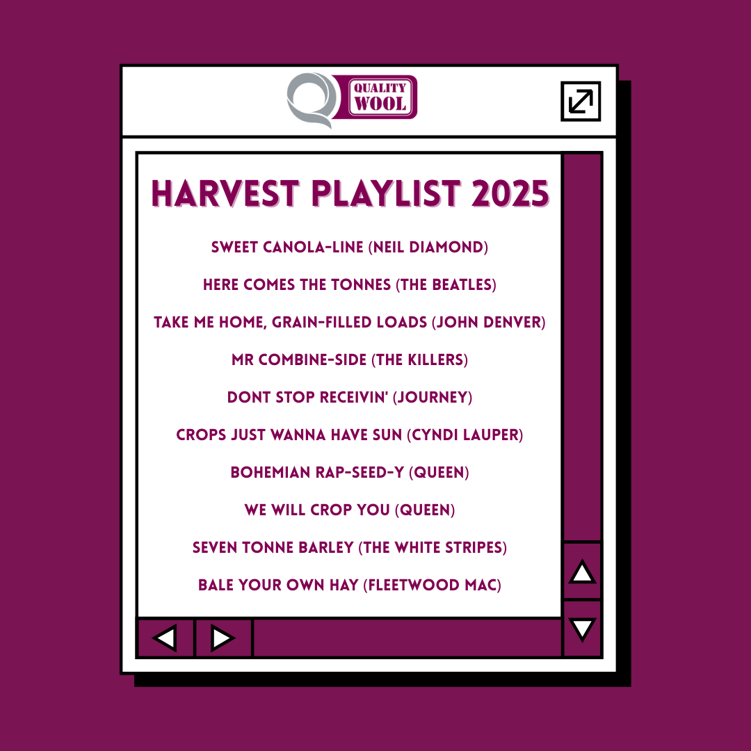 QualityWool's tweet image. BACK by popular demand (nobody asked for this), the votes are in (there was no voting) and we've assembled our 𝟐𝟎𝟐𝟓 𝐇𝐀𝐑𝐕𝐄𝐒𝐓 𝐏𝐋𝐀𝐘𝐋𝐈𝐒𝐓. #Harvest2025