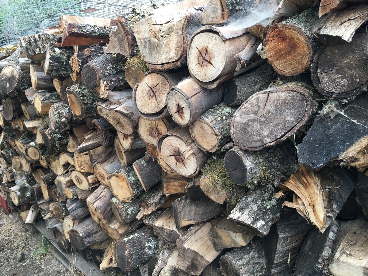 MSMVCD's tweet image. Winter tip: Store firewood at least 18 inches off the ground and away  from your home. Piles stacked against the house = a rodent invitation. #winter #rats