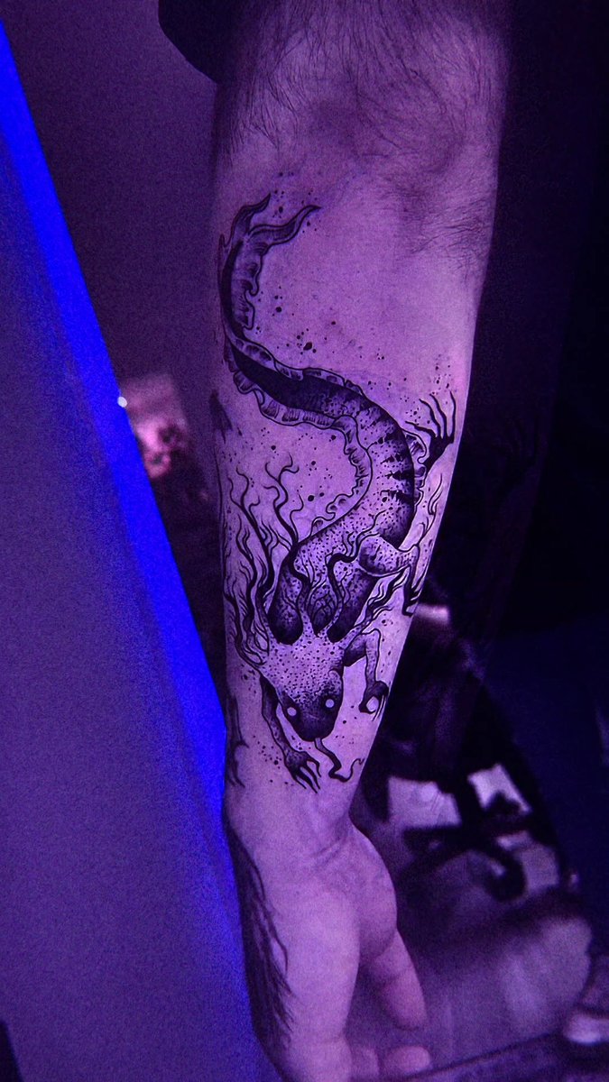 esczrt's tweet image. 🖇️𖦹ْꓸ 𝖘𝖆𝖑𝖆𝖒𝖆𝖓𝖉𝖗𝖆⇇