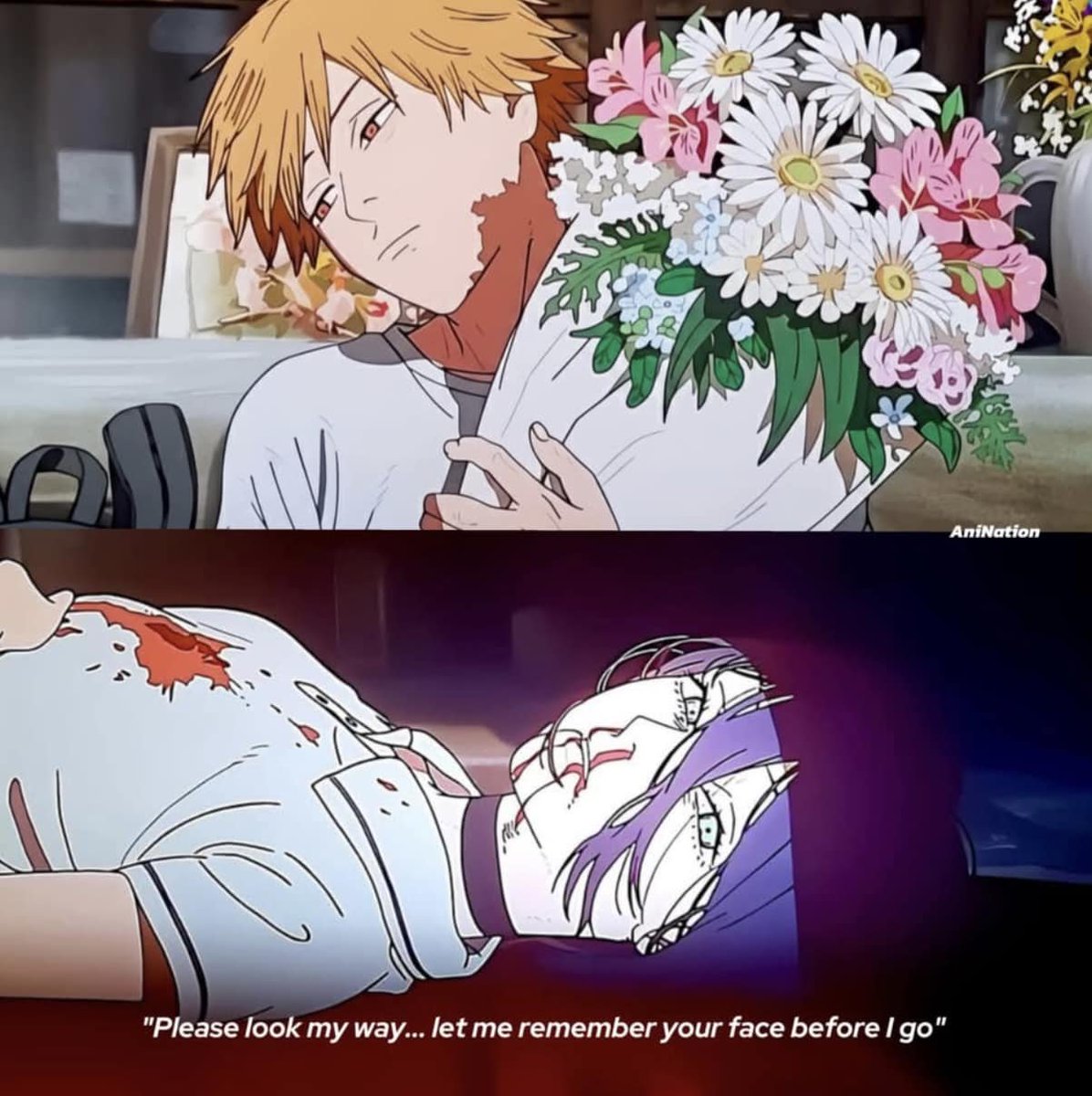 Saradaxanix's tweet image. 