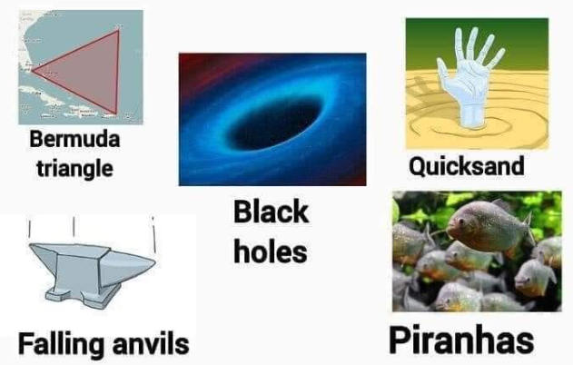 SandyofCthulhu's tweet image. I thought all of these things would figure prominently as threats in my life. The only one I&apos;ve interacted with at all are piranhas, and they were pretty fun.