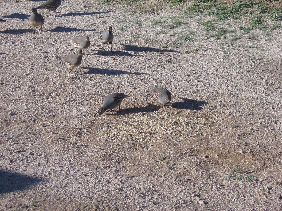 operatorihc's tweet image. Closer and closer.