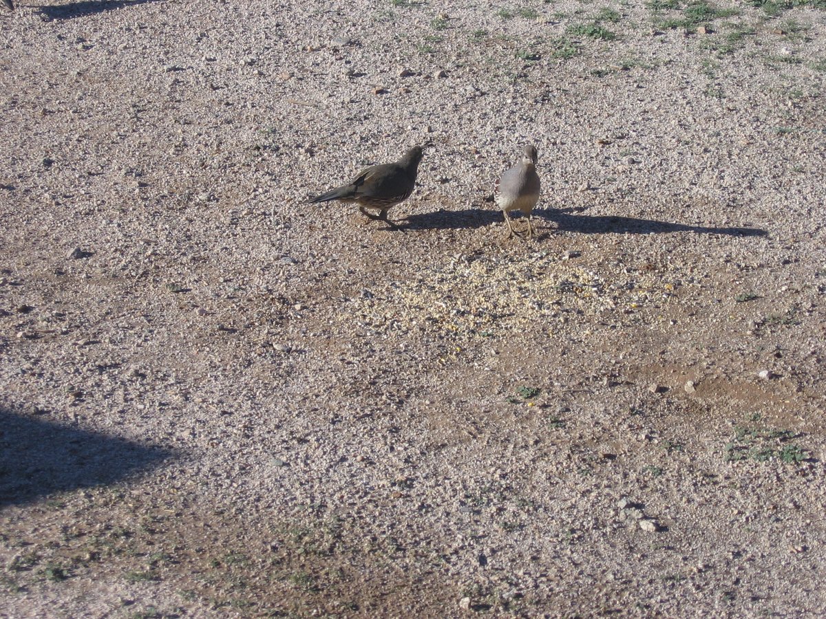 operatorihc's tweet image. Closer and closer.