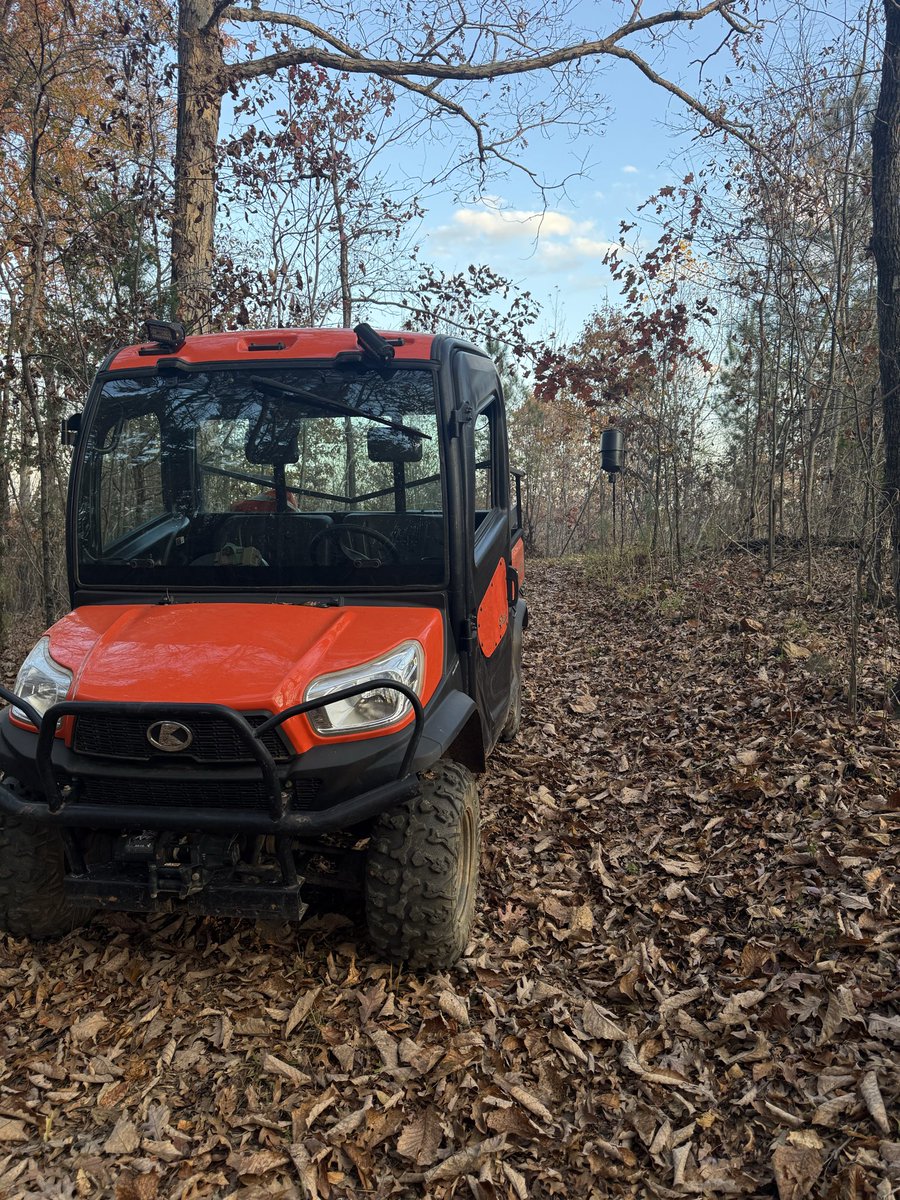 walkonOU812's tweet image. Alabama Deer season starts this weekend.. so much to do..