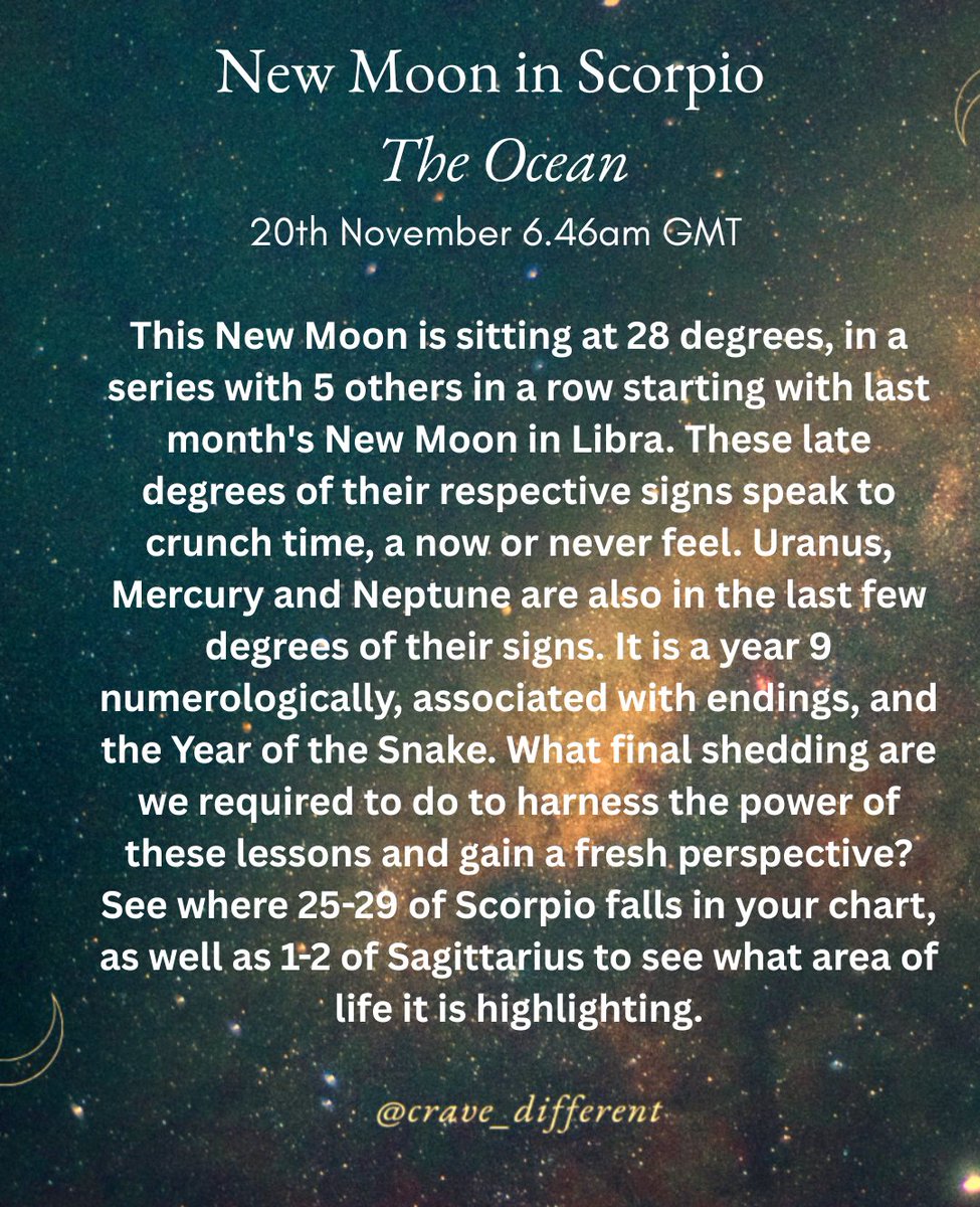 cravedifferent's tweet photo. The New Moon in Scorpio ♏ is the power sitting just beneath the surface ready to be reclaimed but not before some digging around for what feels true. Read more in the link.
 #scorpiomoon #transformationthursday
#astrologylover 
                 https://t.co/dc4VfvairT https://t.co/8thynEDV9V