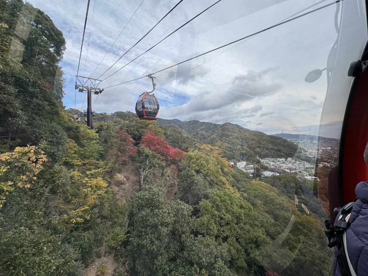 tomoyanTweet's tweet photo. Japan trip day 15
クリギンがいるかと思って、ロープウェイに乗って上がって行ったけどやっぱりいなかったご飯
#神戸 #ハーブ園 #BeKobe #ロープウェイ @thefatkuma https://t.co/shLEKkLAmb