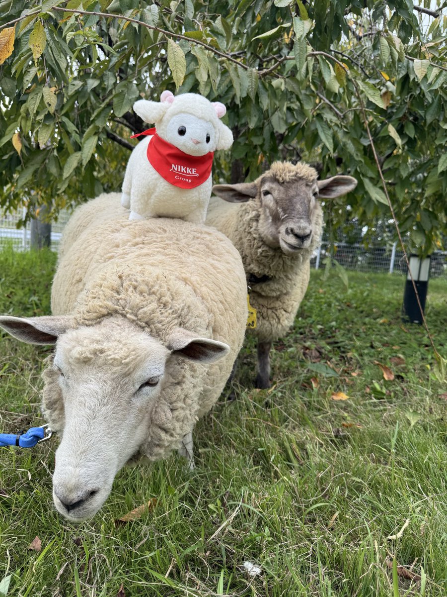今日のおひつじ座 ／ チャンス到来の予感Ꮚ ´͈ ᐜ `͈Ꮚ💕 「やって