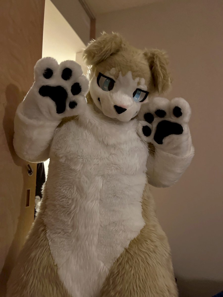 寝かさないぞ
#FursuitFriday
📷️#nattu_neon