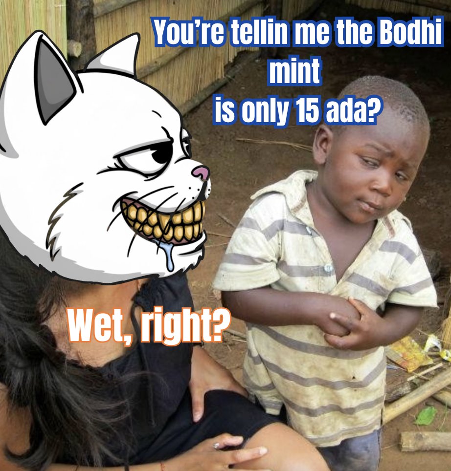 The art on the <a href="/Bodhi_Cet/">Bodhi_Cet</a> mint is wild for this...

$BODHI is for the people 
🐈‍⬛💦