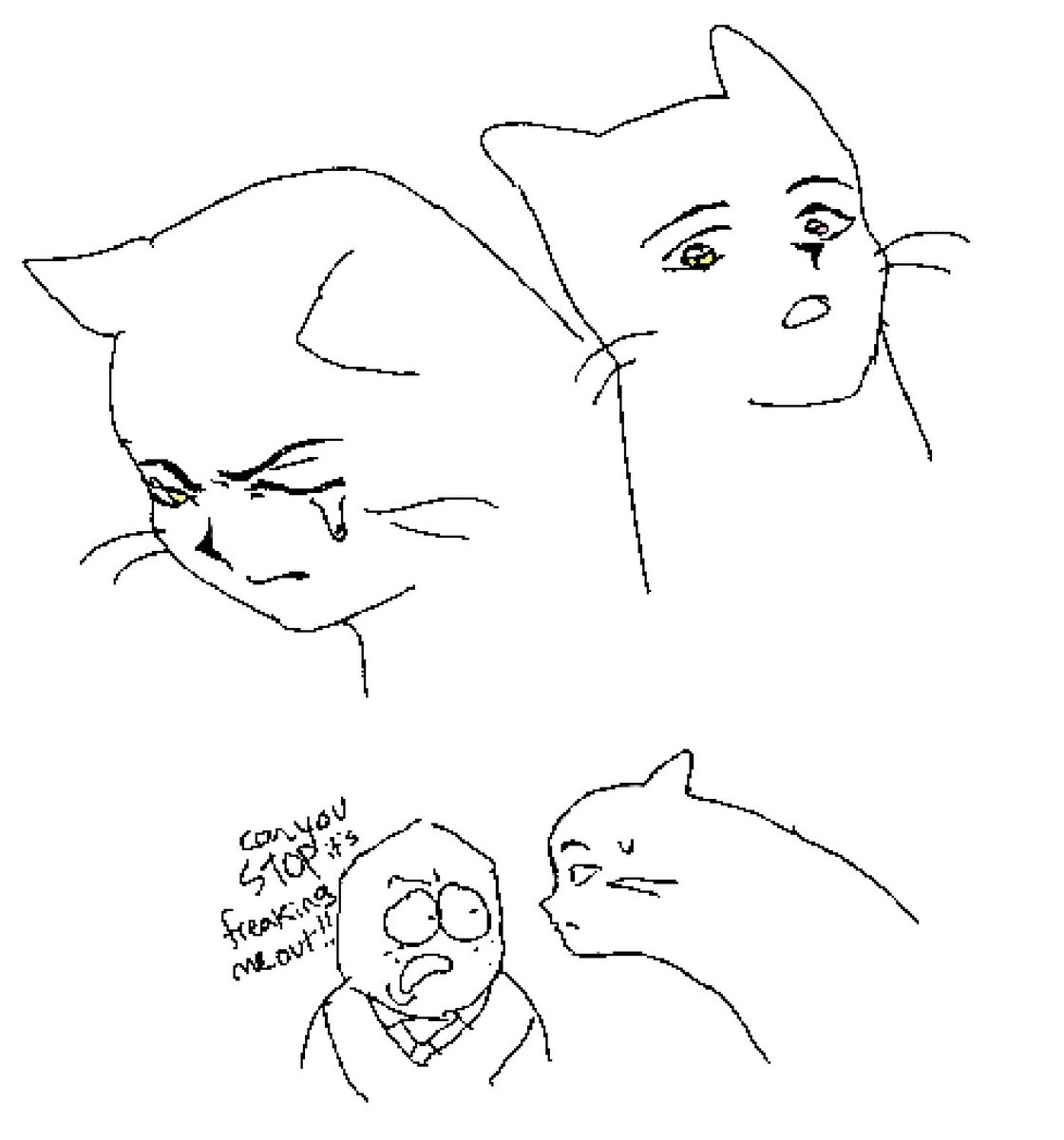 CathChicken's tweet image. Take a wild guess who I drew today