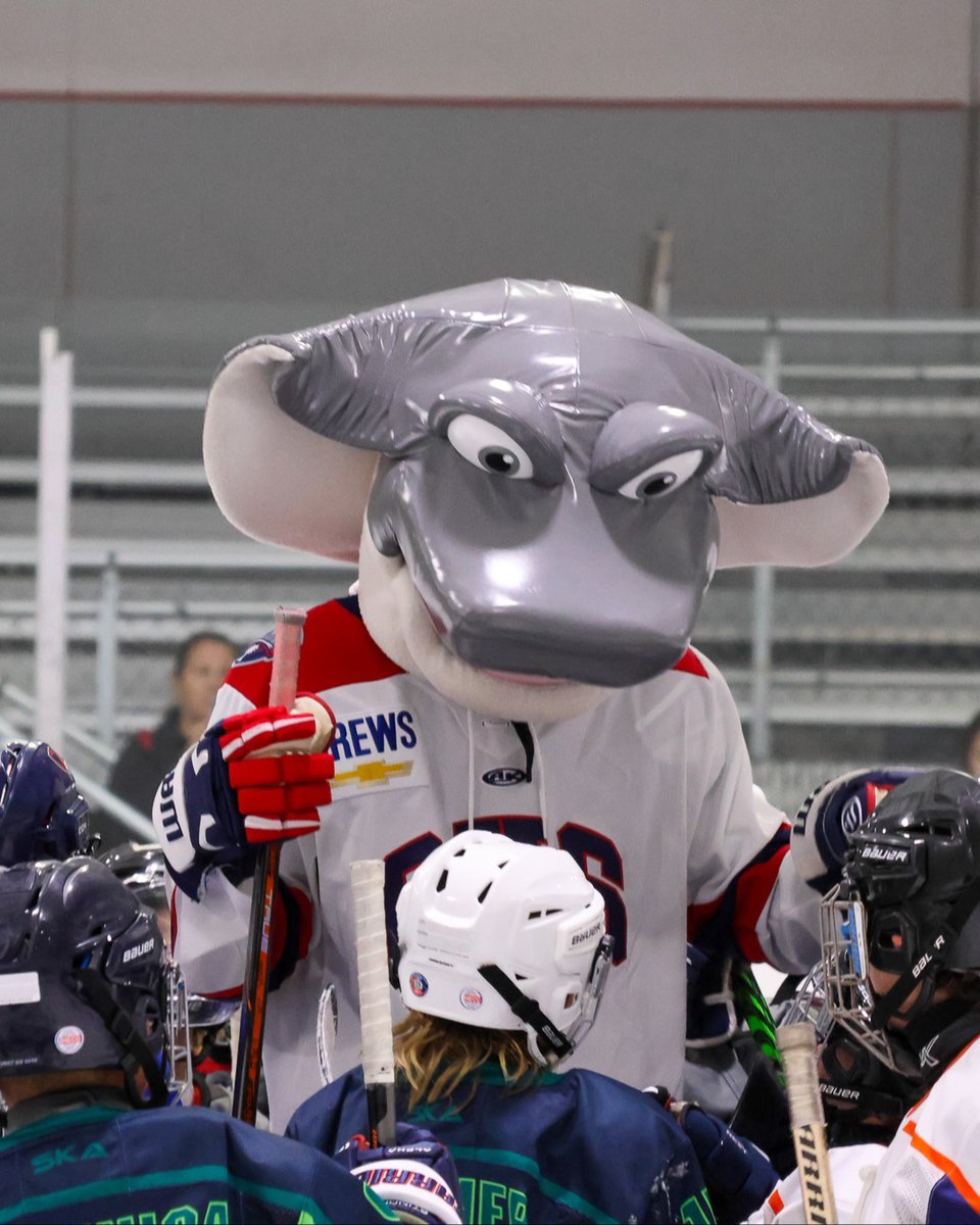 SCStingrays's tweet image. Cool Ray stopped by the Carolina Ice Palace to observe and participate in Jr. Stingrays hockey practice, continuing our ongoing support of local player development. 🙌

#SCStingrays | #RaysIt