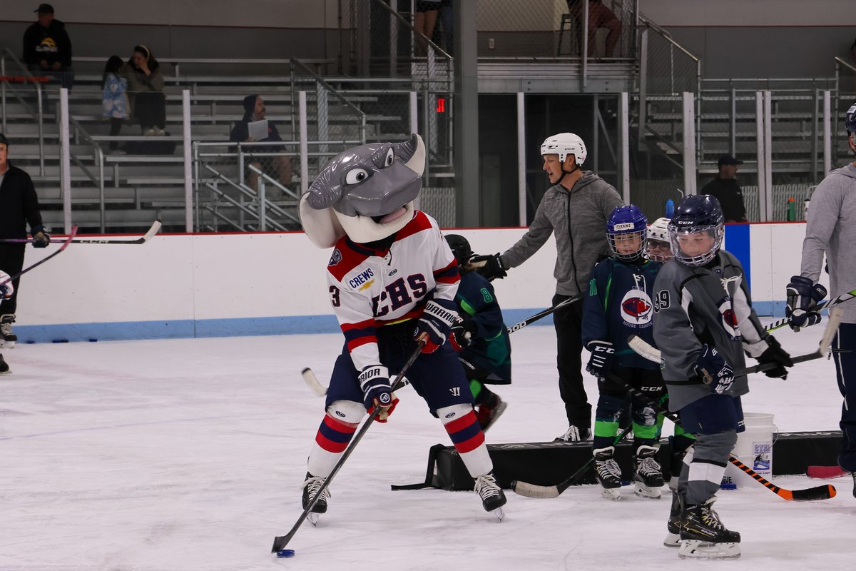 SCStingrays's tweet image. Cool Ray stopped by the Carolina Ice Palace to observe and participate in Jr. Stingrays hockey practice, continuing our ongoing support of local player development. 🙌

#SCStingrays | #RaysIt