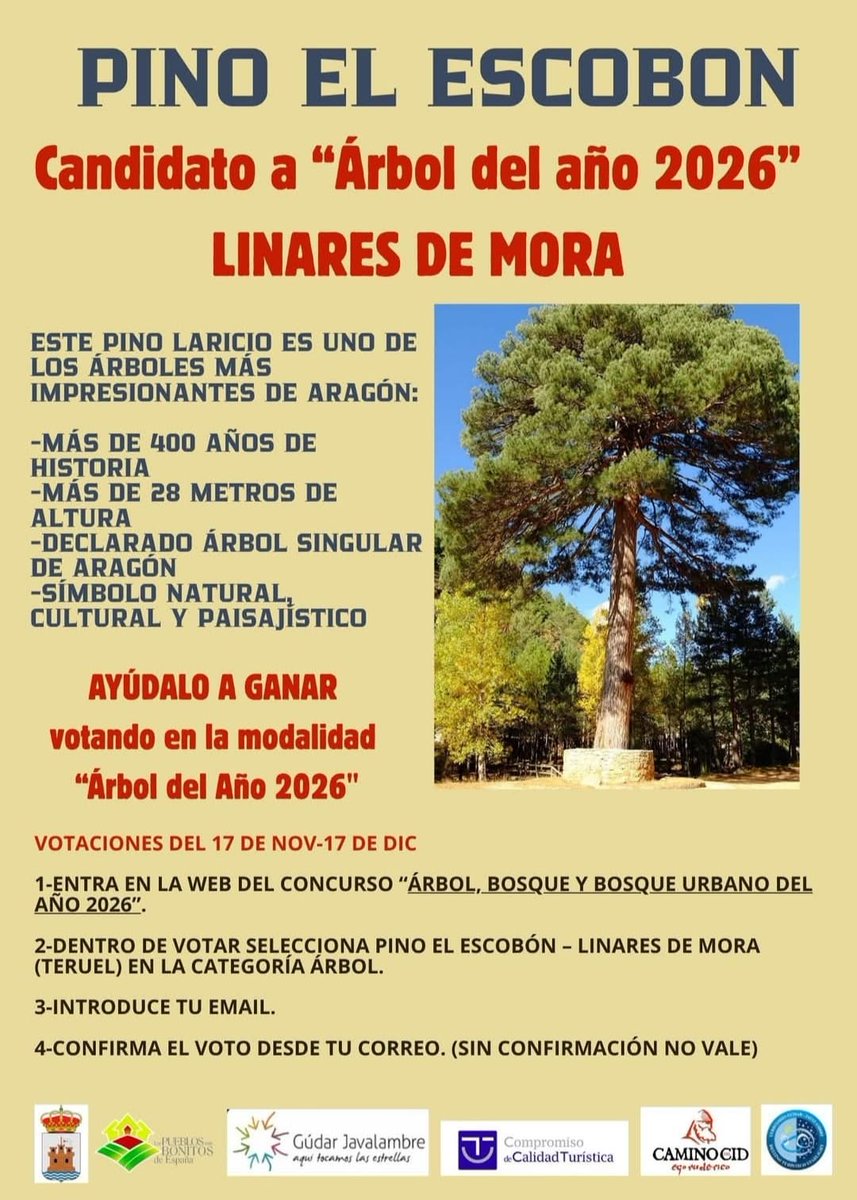 El Pino del Escobón candidato a Árbol del Año 2026. Ayuda a conseguirlo aquí arbolybosquedelaño.es/votar-arbol-bo…