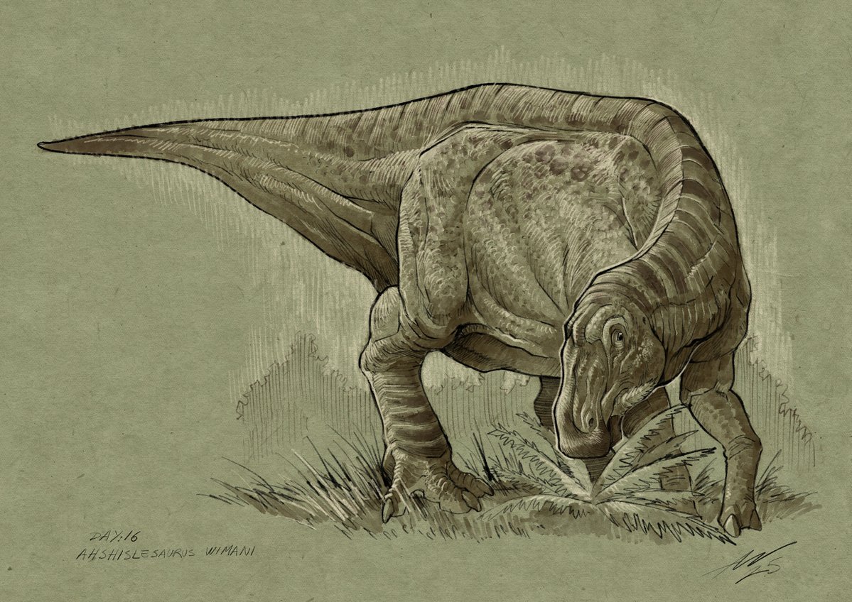 Day 16: Ahshislesaurus wimani #Dinovember #paleoart
