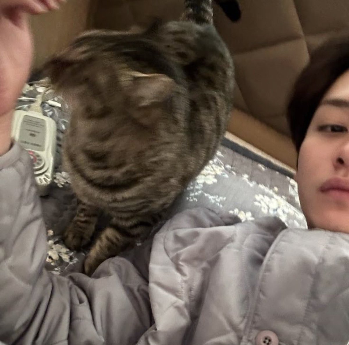 🐿️⋆˙ෆ Ᏼɾᥙᖯɾᥙ ˃ᴗ˂ tweet media