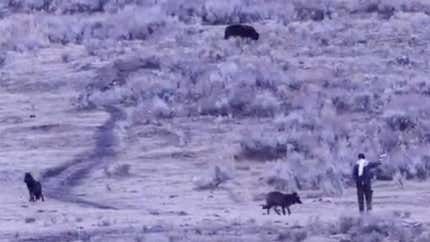 Barstool Sports tweet media