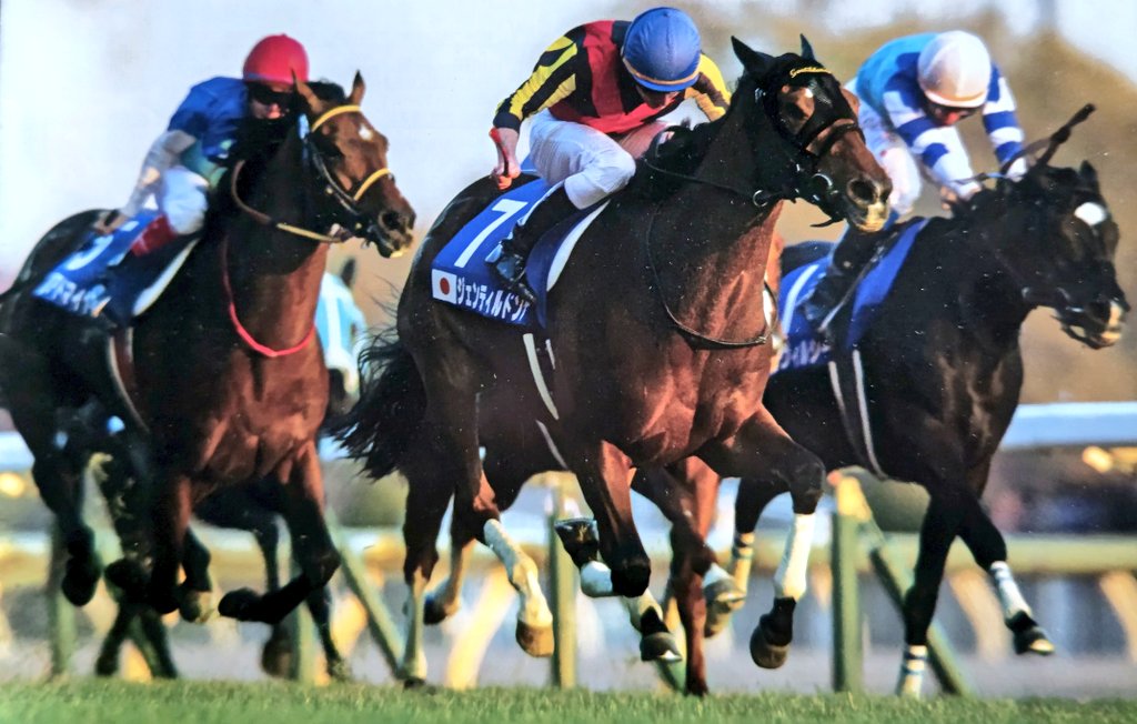 ジェンティルドンナ(GI・7勝)は2011年(11月19日)に京都競馬場で