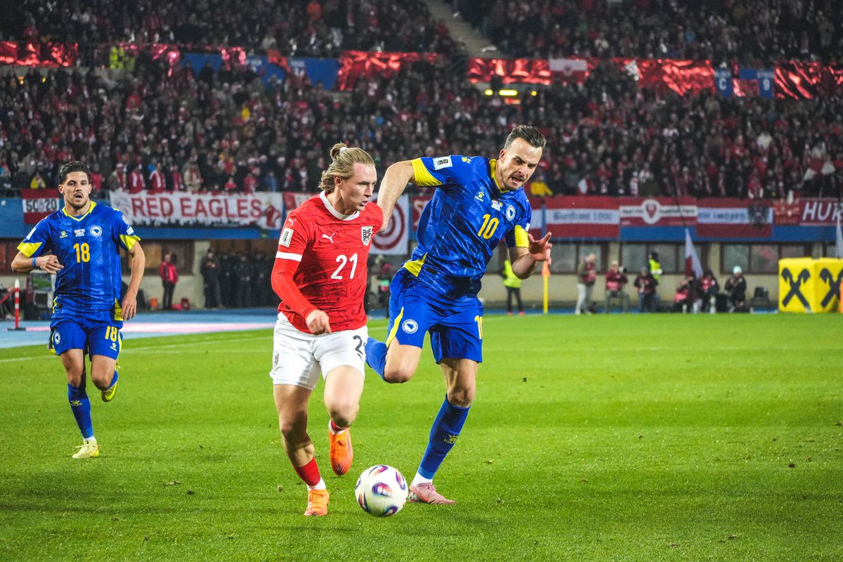 Patrick Wimmer tweet media