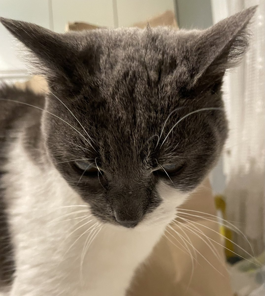 jsuis le diable ou quoi pq elle me regarde comme ça