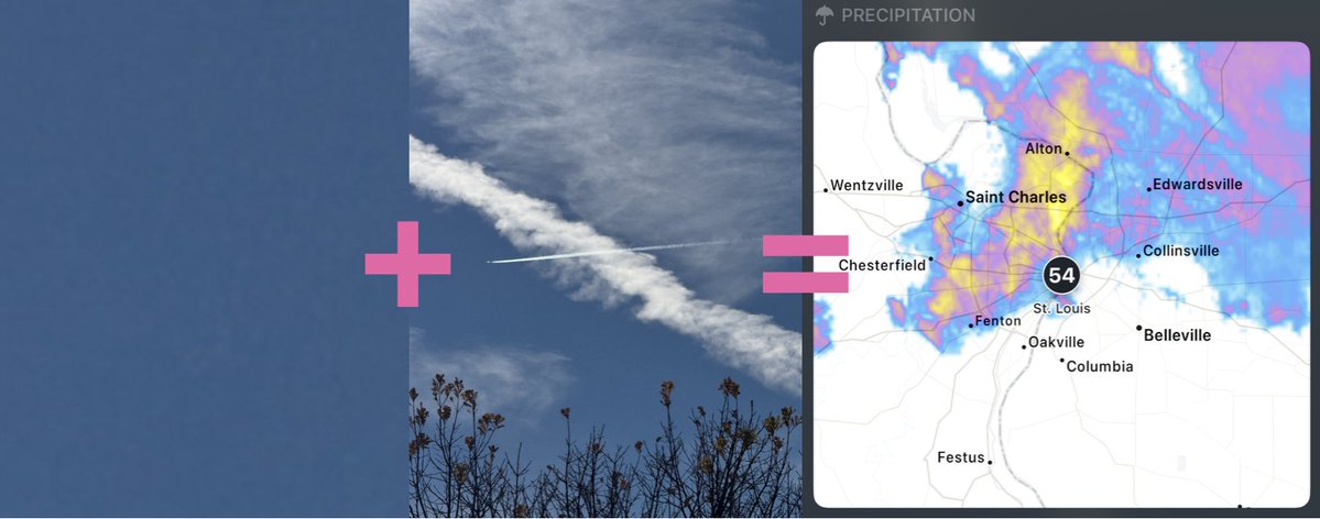 StLouisSkies's tweet image. St. Louis 11/17-18/2025 My grandfather, an avid gardner, used to say: “Not a cloud in the sky, rain within 3 days.” He understood the skies because he was connected to the earth. Today&apos;s equation: Blue skies + contrail swarm = rain in a day. #gardeners #contrails