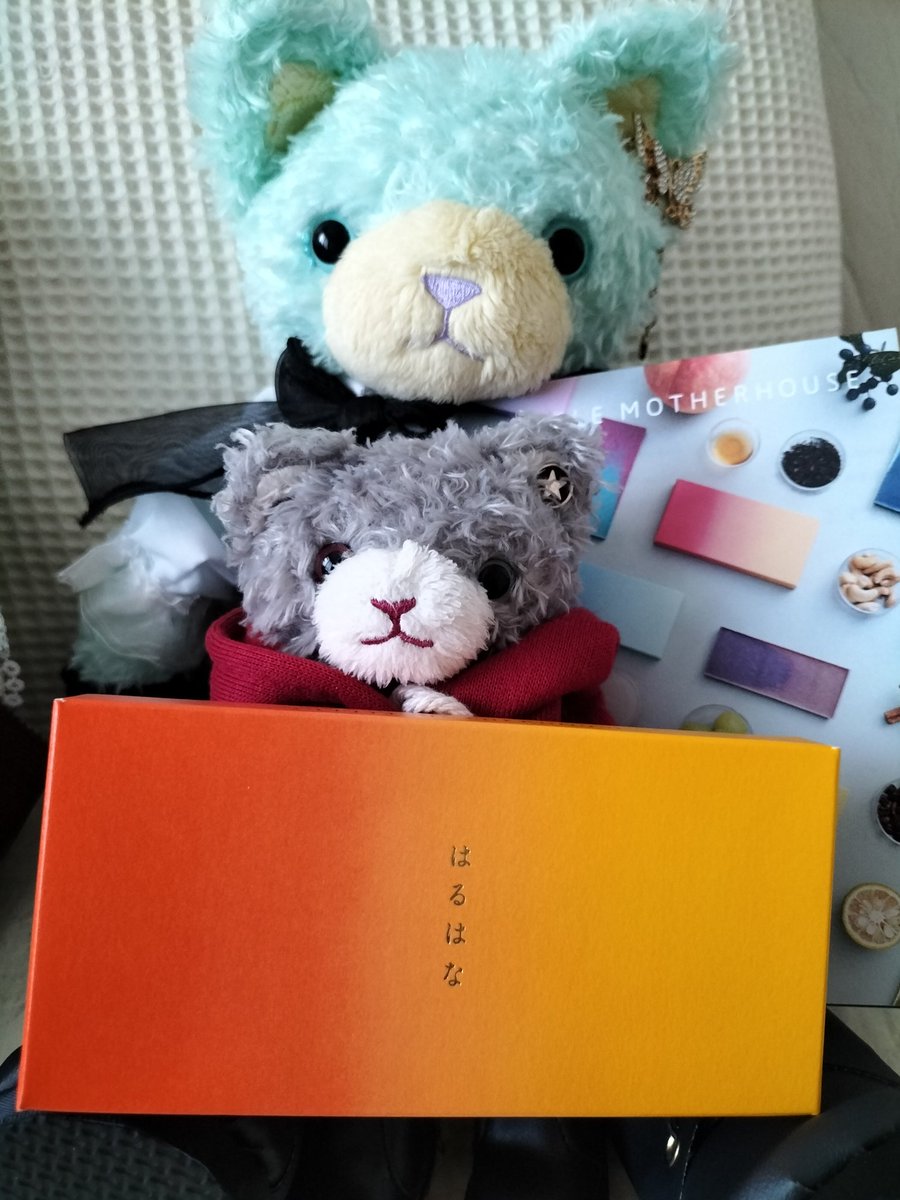 194🩵💛🧡🕊️🪻 (@ikuyomizo) / Posts / X