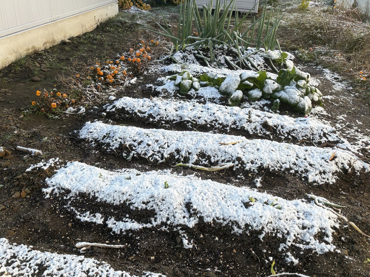 kaga92_'s tweet photo. 雪降ってるじゃなーい！寒いと思ったわ〜 https://t.co/bMiSRy7kuu