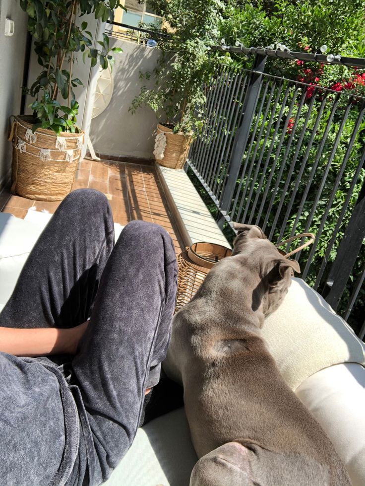 mike_debby97019's tweet photo. Got my best pal at the balcony.. catching up the moment 
https://t.co/y2bbpMv1PU
#zoophillia #dogknot #zooprideisvalid
#zoophile #hypnotistzoophilesarevalid
#zoophiletwt https://t.co/sjrWxOWqbY