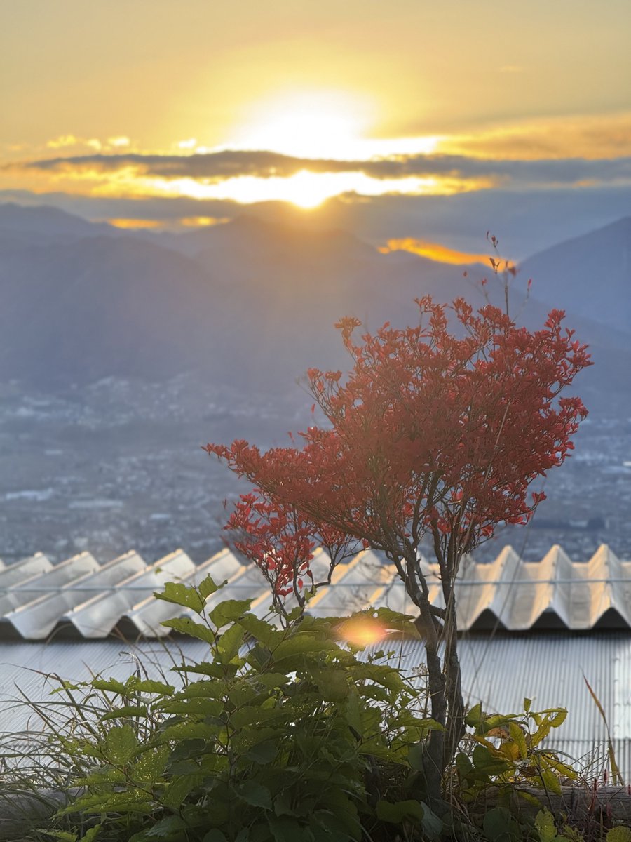 皆さまおはようございます☀

本日、洗車応援団は定休日となります

神奈川県相模原市は本日晴れ
気温は13℃ほどとなっております

今朝はかなり冷え込みましたね
早朝車に乗ると温度計は3℃と
日が昇る前の気温に驚きました

皆さまも早朝の洗車時は
かなり冷えますので
体調にお気をつけください！