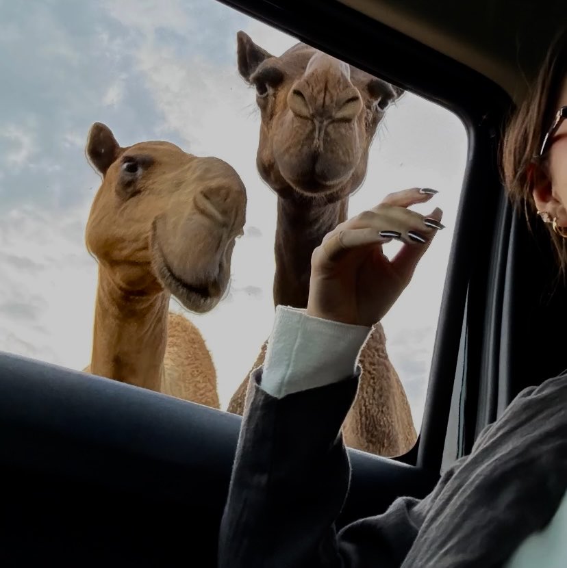 نَجْد (@u11u_2) on Twitter photo 