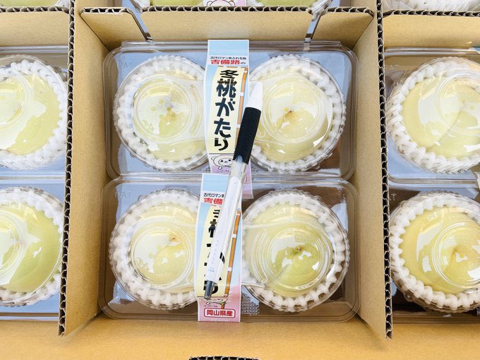 光 ～八百屋のお兄さん21年目突入～ (@neko0v0hentai) / Posts / X