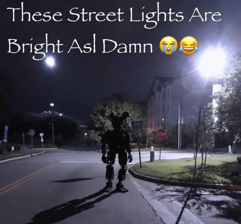 DailyShitpost (@shitpost_daily) on Twitter photo 