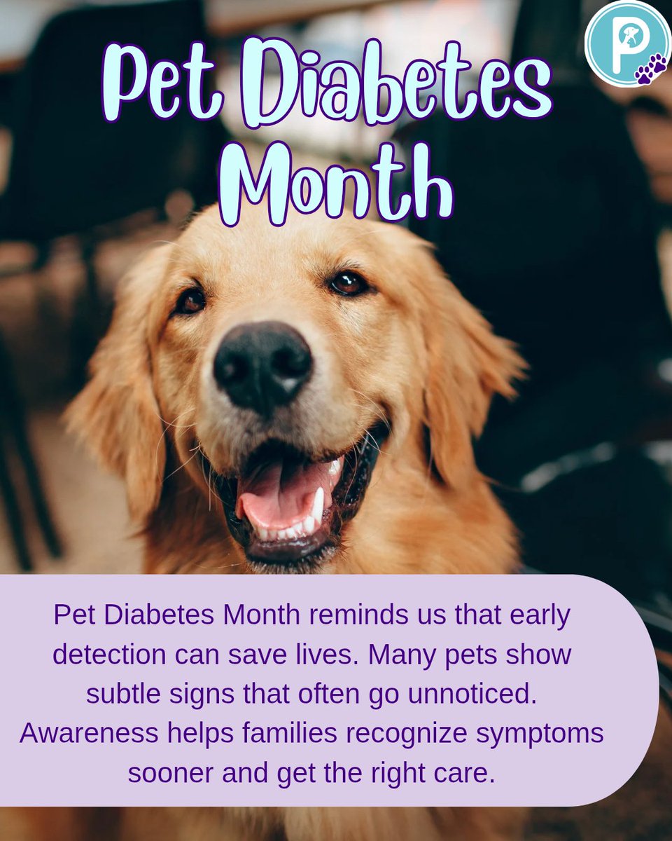 pawlidays365's tweet image. Pet Diabetes Month is a reminder to stay alert to small changes in our pets. Early checks, balanced diets, and regular vet visits can prevent serious complications. Awareness can protect the pets we love. 
#pawlidays #myholidayworld #PetHealth #PetDiabetesAwareness #PetCareTips