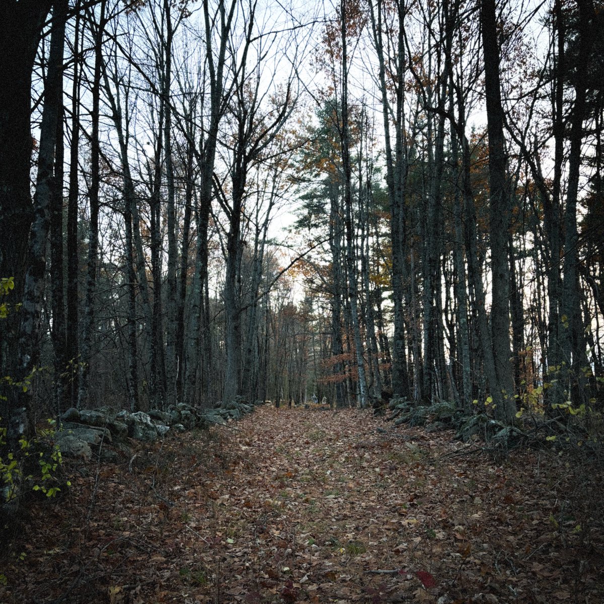 Mister Lou tweet media