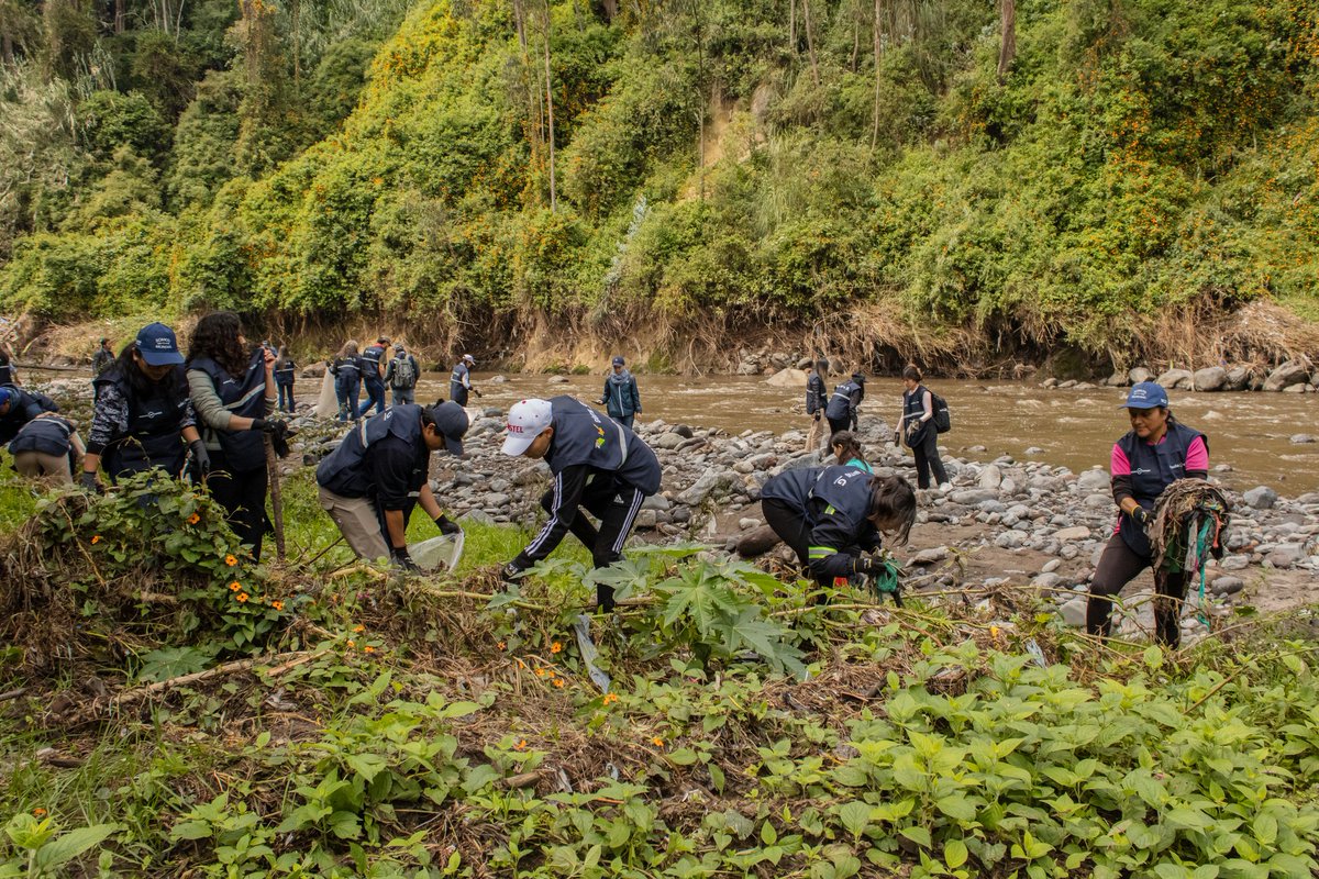 ichthion's tweet image. Agradecemos a @TesaliaCBC por impulsar una alianza que protege nuestros ecosistemas y las Islas Galápagos desde la fuente.

Juntos en una minga en el Río San Pedro, más de 40 colaboradores de @TesaliaCBC recolectaron 1.219,5 lb de residuos, evitando que lleguen al océano. 🌊🌎