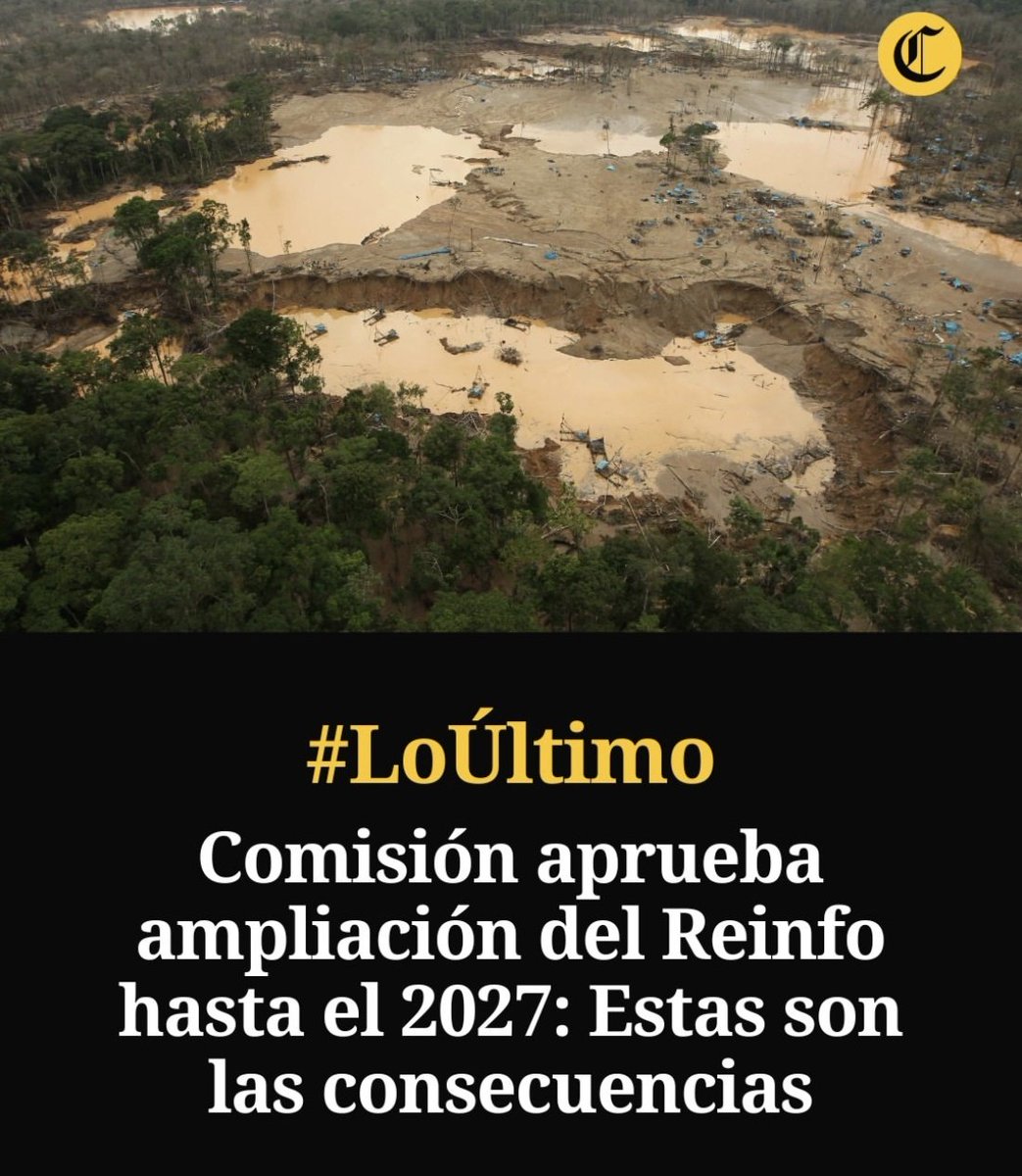 LaSalitadelSin's tweet photo. Hasta que no quede ni un sólo árbol más.
Hasta q Lima beba agua totalmente contaminada y tóxica.
Hasta que desaparezcan los animales de los ríos... Se ampliará mil veces el Reinfo. https://t.co/SkejJdjiaF