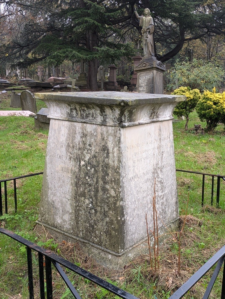 LWalksLondon's tweet image. Grave of Dr Gideon Mantell (front) who 200 years ago realised that a fossil tooth was from a gigantic reptile, a dinosaur as we now know them. @fownc1837 @LondonHistorian
Fed up with the greatest of British history &amp;amp; culture being dismissed? I can help. laurenceswalks.co.uk