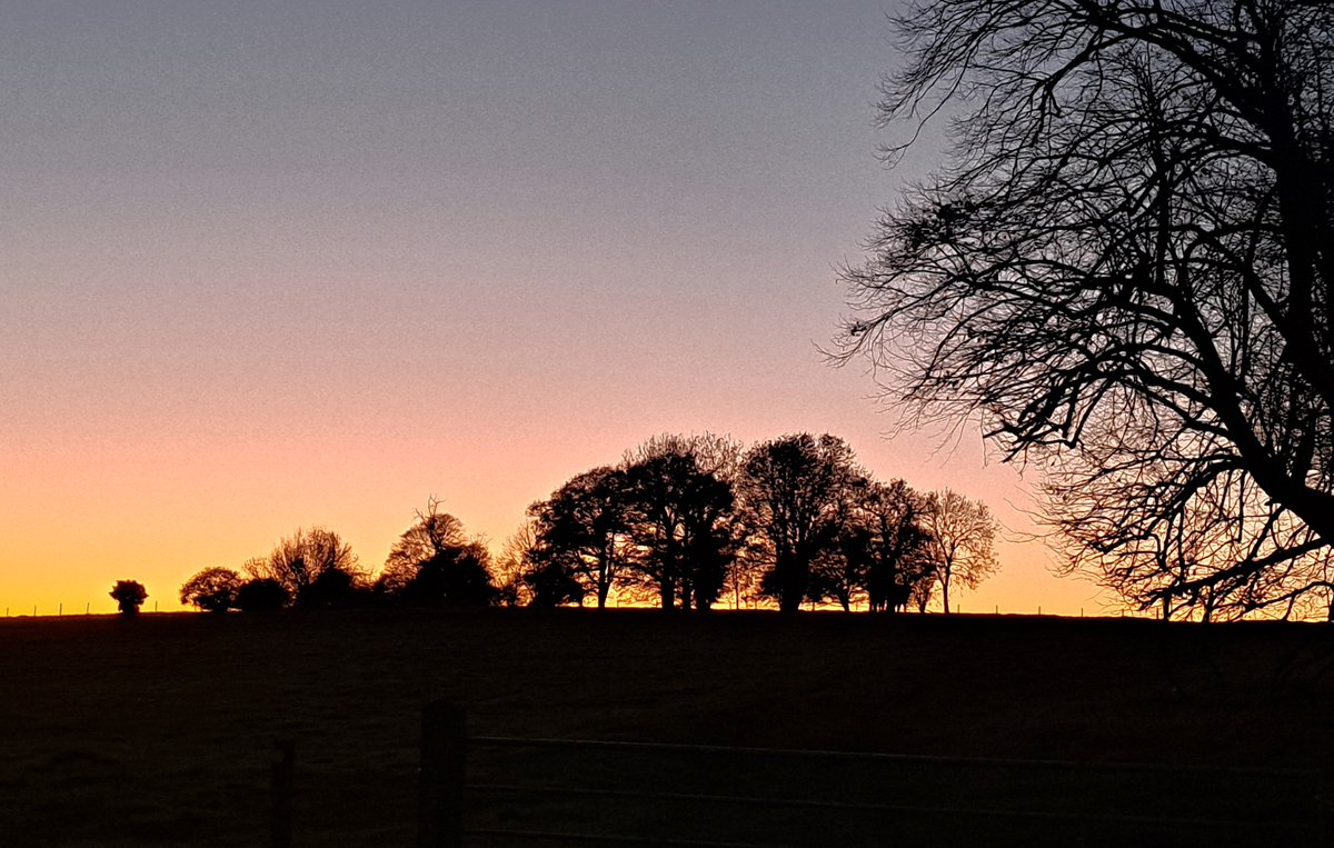 Leafless trees can be beautiful on a cold winter day, as can early sunsets. #Dorset