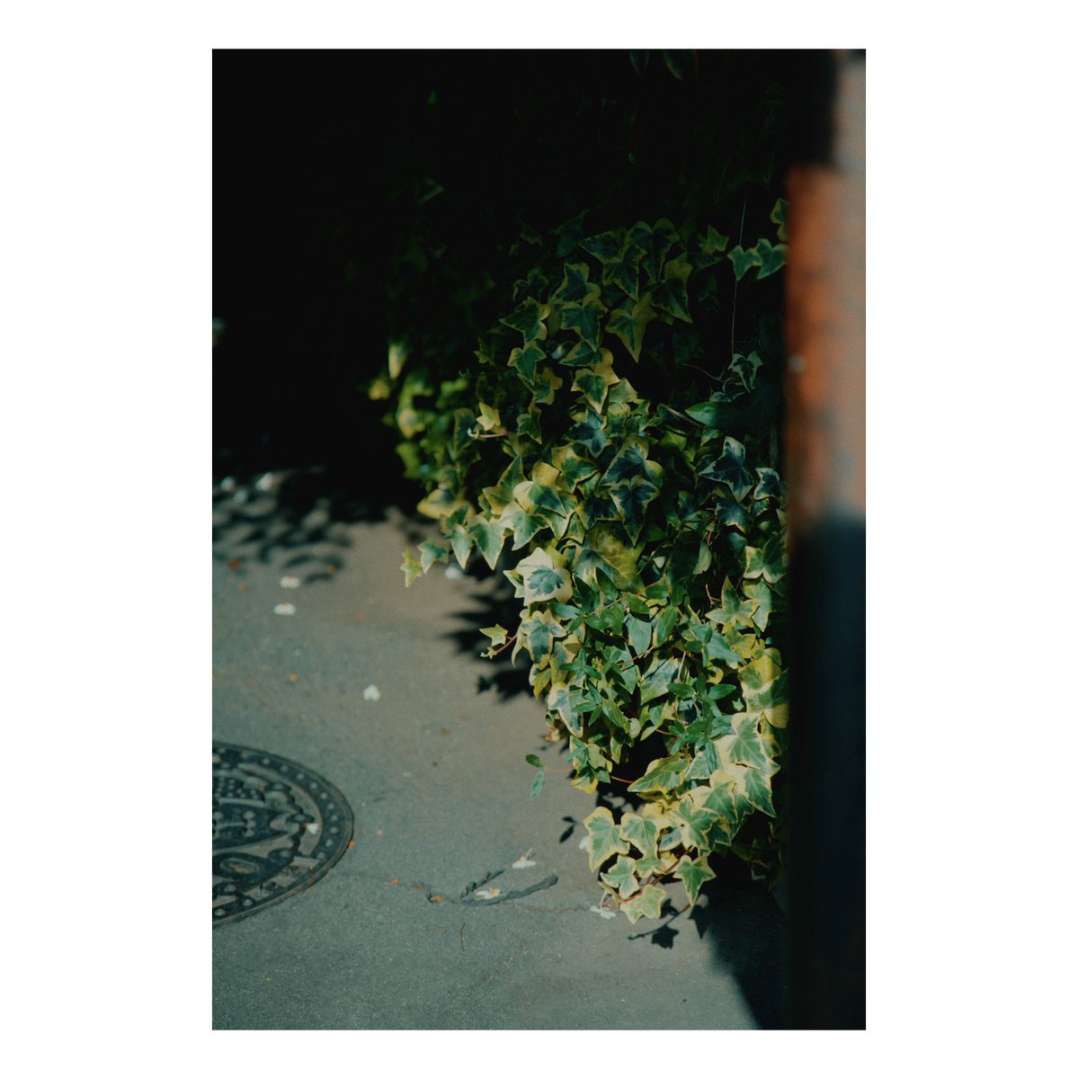 __efiL's tweet image. 最近撮った中で、なんか好きな一枚。