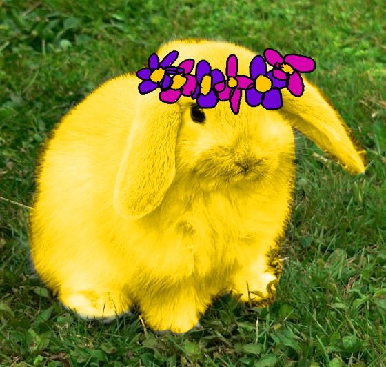 matt_w4zhere's tweet image. 