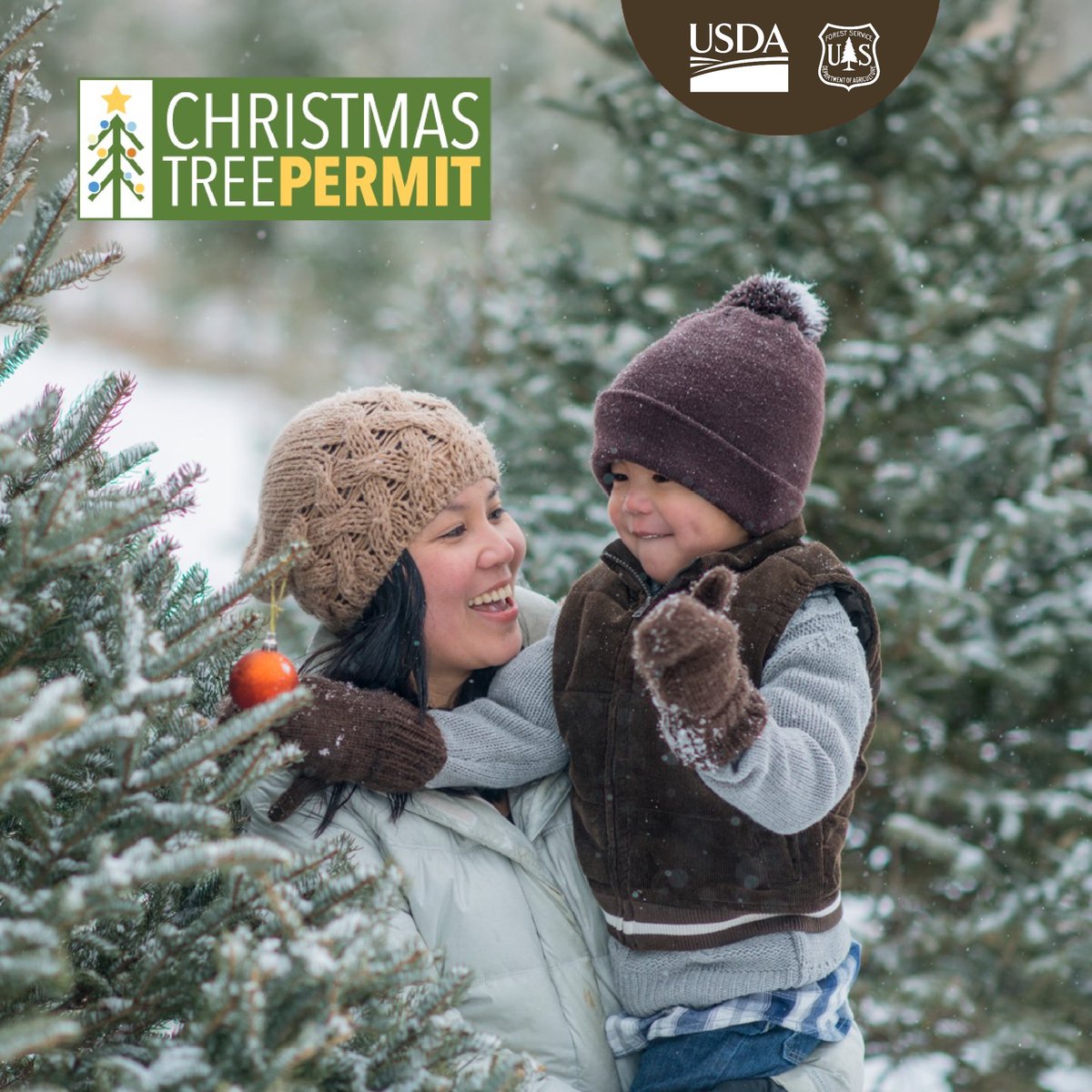 Oh Christmas tree, oh Christmas tree… ✨

It’s official, Christmas Tree Permits for the Santa Fe National Forest are available for purchase online through Recreation.gov and in person at all district offices and the SFNF Supervisor's Office in Santa Fe, N.M.! 🎄

Get