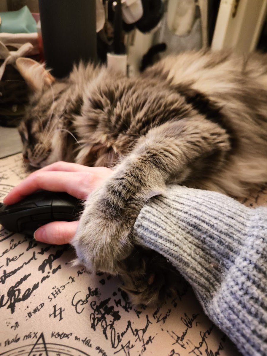 aeyvi's tweet image. Also, my beautiful boy turned 6 today! I can&apos;t believe how the time has gone so quickly, but I treasure each day I get to spend with him. He brings so much joy into my world. My little (very big) familiar. 🎂🩷
#norvi #tiny #CatsOfTwitter