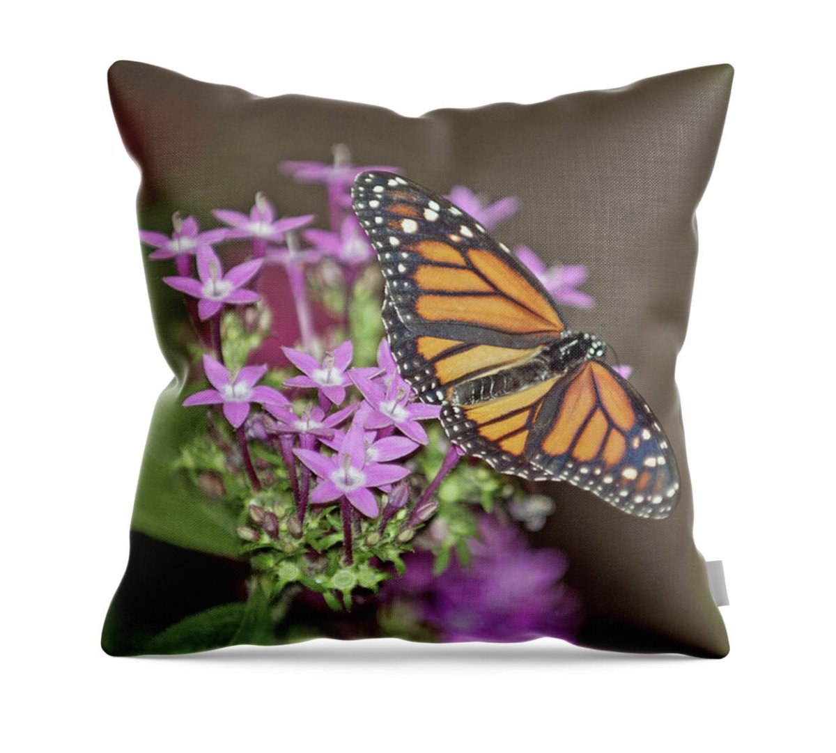 November 19th TOMORROW 
25% Off Home Decor (Throw Pillows, Duvet Covers, Shower Curtains, Bath Towels, Coffee Mugs, &amp; Fleece Blankets) 

November 20th 
25% Off Puzzles, Tote Bags, Weekender Tote Bags, Zip Pouches, &amp; Yoga Mats 

shonna-hawkins.pixels.com #BuyIntoArt