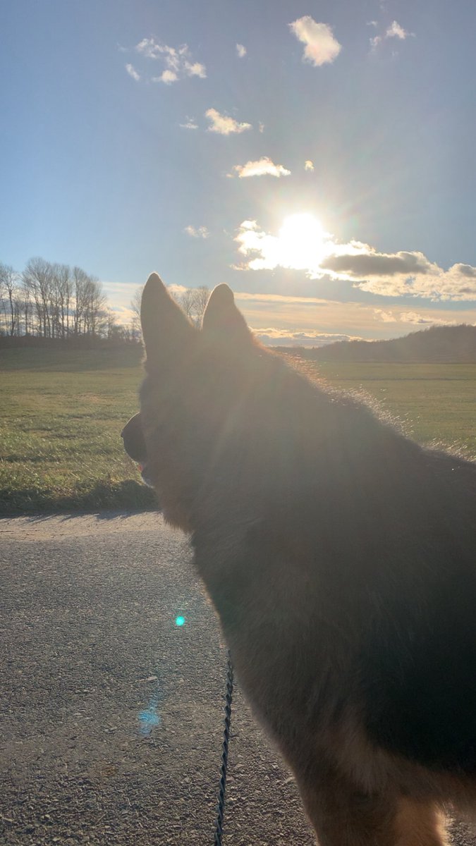 Beautiful day!! ☀️