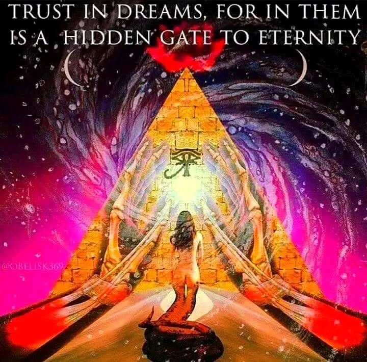 lightcore98's tweet image. 