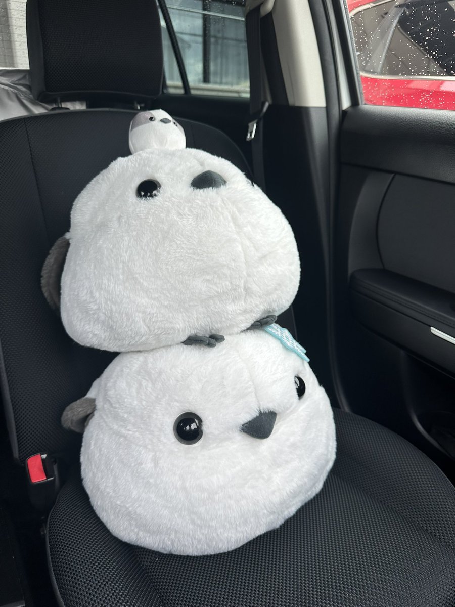 yoki 11/23 Car Wing (@yoki0216) / Posts / X