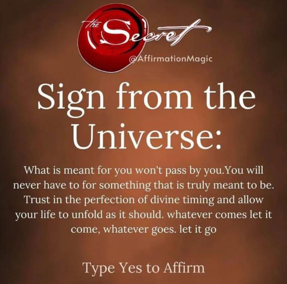 lightcore98's tweet image. 