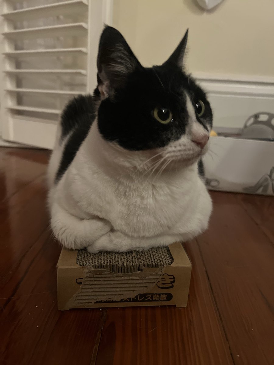 beaucoupbabka's tweet image. 🅱️ALANCE 🅱️EAM !!!