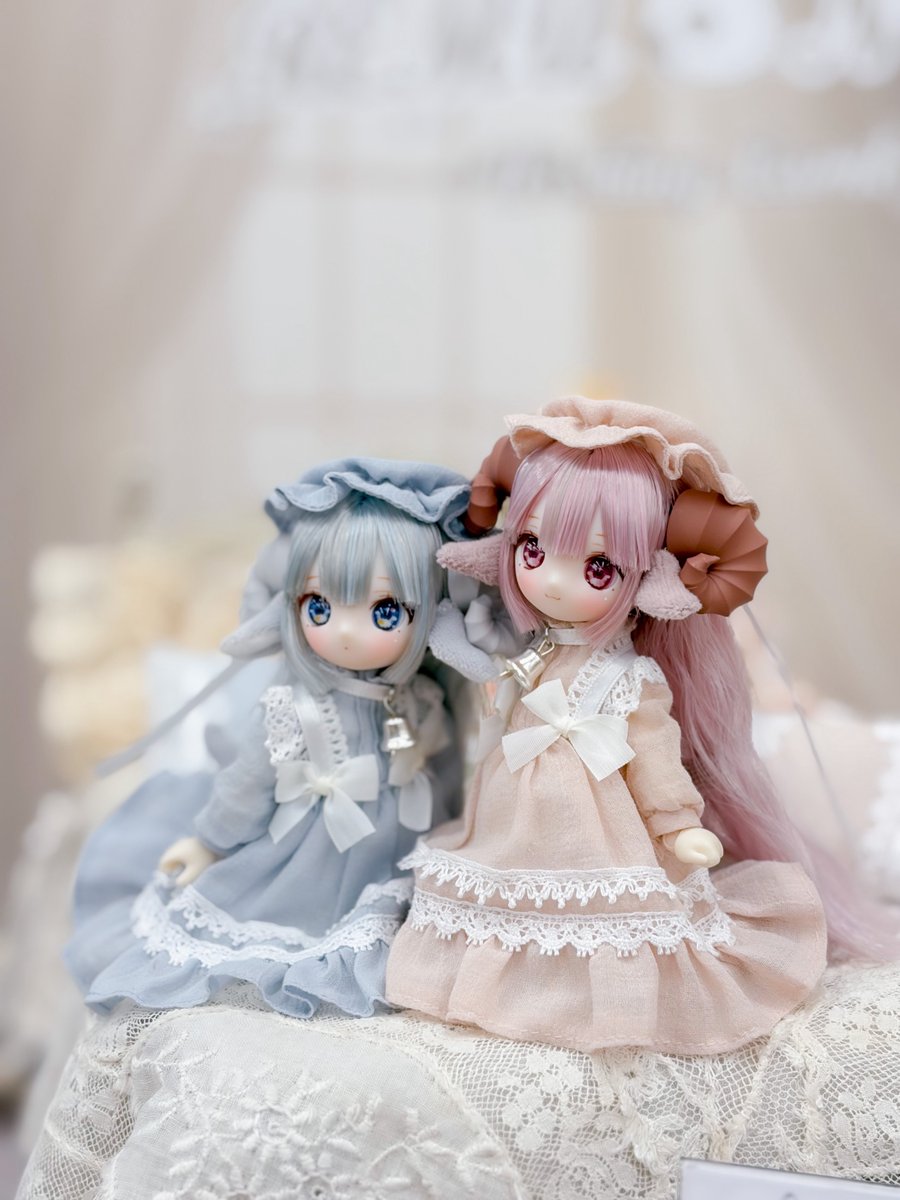 どの角度から見てもかわいい🫶