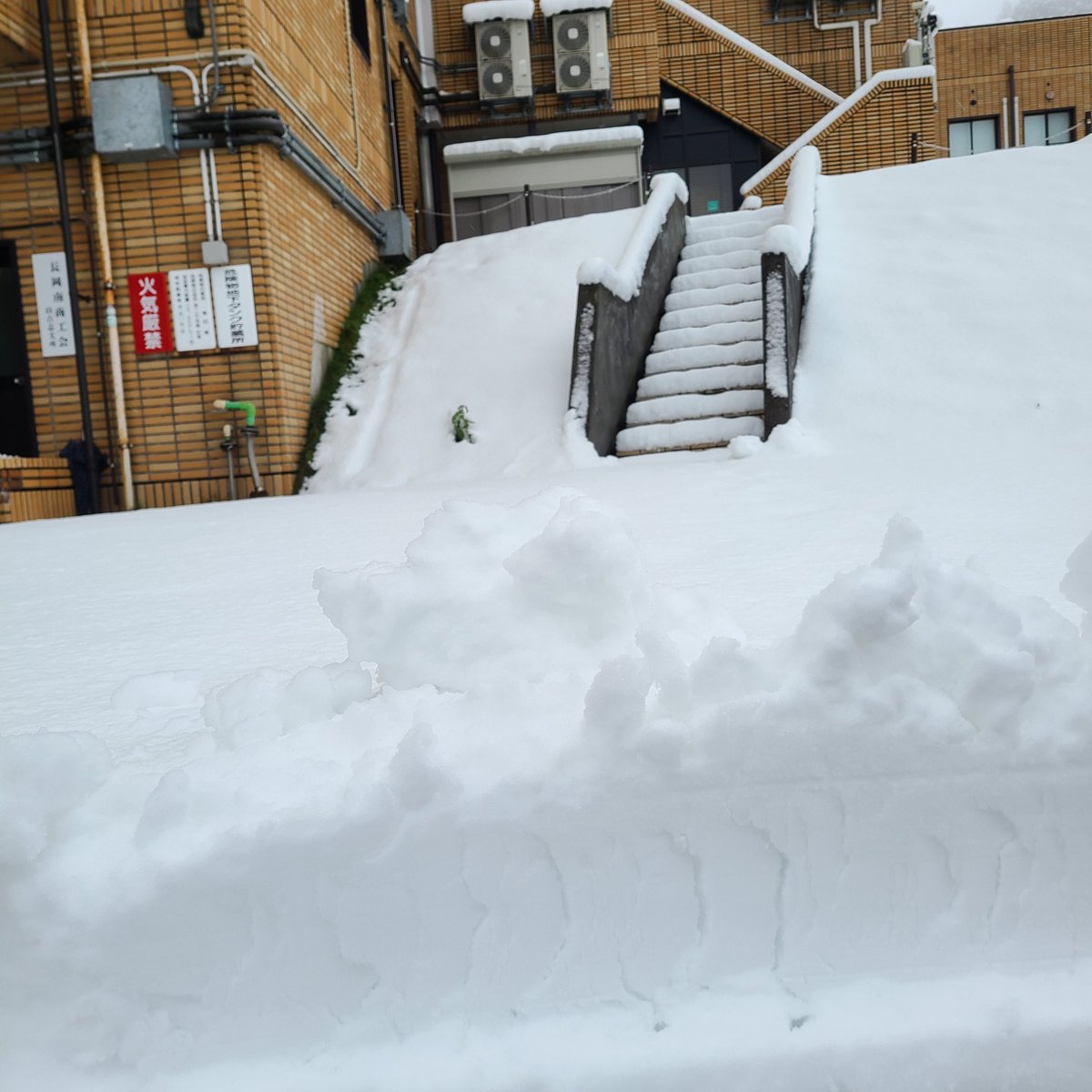 Post by みかんちゃん🏍️🍊 on X: 初雪がこれ！？